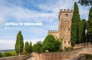 Top Conegliano