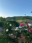 Top Trechtingshausen
