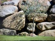 Top Grosseto-Prugna