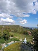 Top Mont-ral
