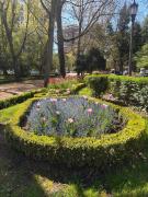 Top Pamplona