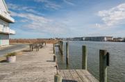 Top Chincoteague Top Chincoteague