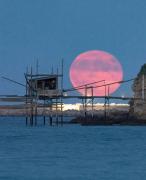 Top Vasto