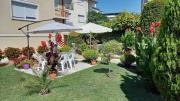 Top Struga