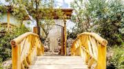 Top Calca
