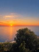 Top Furore