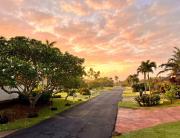 Top Koloa