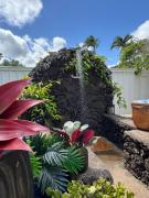 Top Koloa