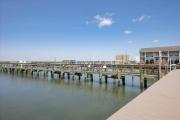 Top Chincoteague