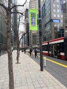 Top Toronto