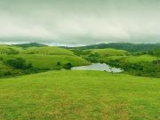 Top Vagamon