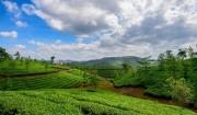 Top Vagamon