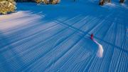 Top Park City