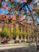 Top La Chaux-de-Fonds