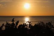 Top Isla Holbox