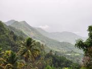 Top Paithalmala
