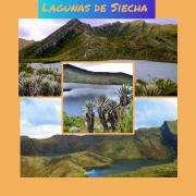 Top Guasca