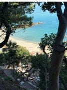 Top Parghelia