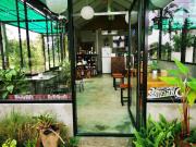 Top Phetchabun