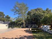 Top Musina Top Musina