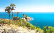 Top Phuket