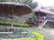 Top Suan Phung Top Suan Phung