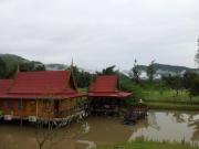Top Suan Phung