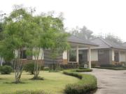 Top Ban Thung Kabin Top Ban Thung Kabin