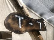 Top Forks