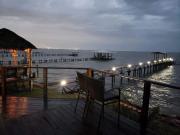 Top Bacliff