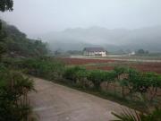 Top Nong Nam Daeng