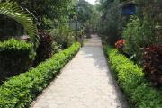Top Sauraha