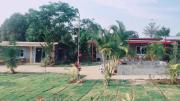 Top Ban Nong Rang Chang