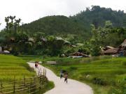 Top Bac Ha