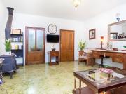 Top Vilafranca de Bonany