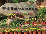 Top Tianan
