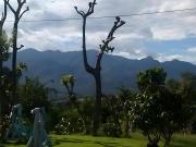 Top Ban Thung Pong