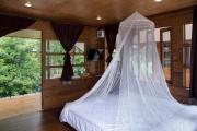 Top Ban Huai Salok