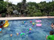 Top Ban Nong Nam Khao Top Ban Nong Nam Khao