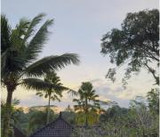 Top Ubud Top Ubud