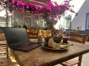 Top Bodrum City