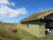 Top Skagen