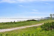 Top Nyborg