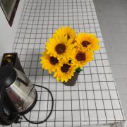 NiranHouse Hostel
