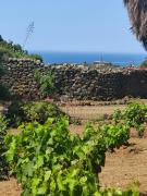 Top Pantelleria