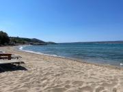Top Plaka