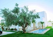 Top Hammamet