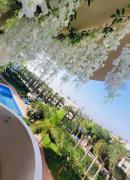 The hidden oasis, steps from the beach and pool