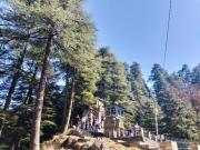Top Almora