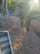 Top Vespasiano